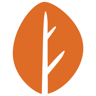 cozyplaynow.com favicon